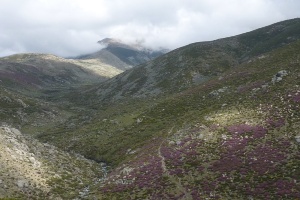 Centro de Interpretación de la Reserva Natural de la Garganta de los Infiernos