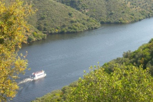 Tagus International Nature Reserve