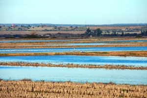 Parque Periurbano de Conservación y Ocio Moheda Alta