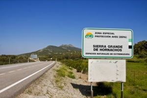 B_ZEPA_SIERRA_GRANDE_HORNACHOS_01