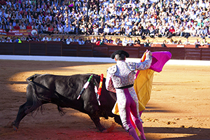 B_FERIA-DE-OLIVENZA_05