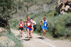 B_mediamaratonalburquerque_7