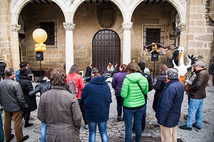 Actividades previas a FIO