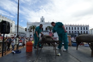 Llerena traditional extremaduran pig slaughter