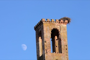 B_ALCAZABA_BADAJOZ_06