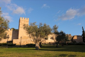 B_ALCAZABA_BADAJOZ_14