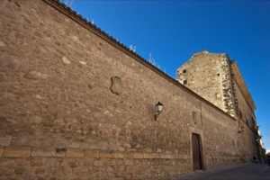 B_PALACIO_SAN_CARLOS_02